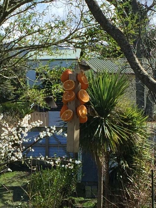 Apartamento Union Street Hideaway Waihi Exterior foto